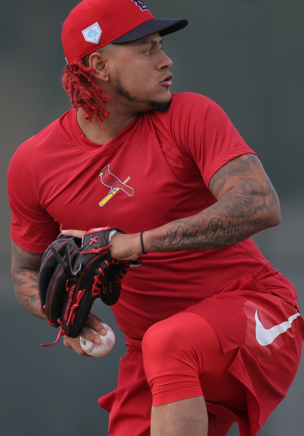 Cardinals spring training